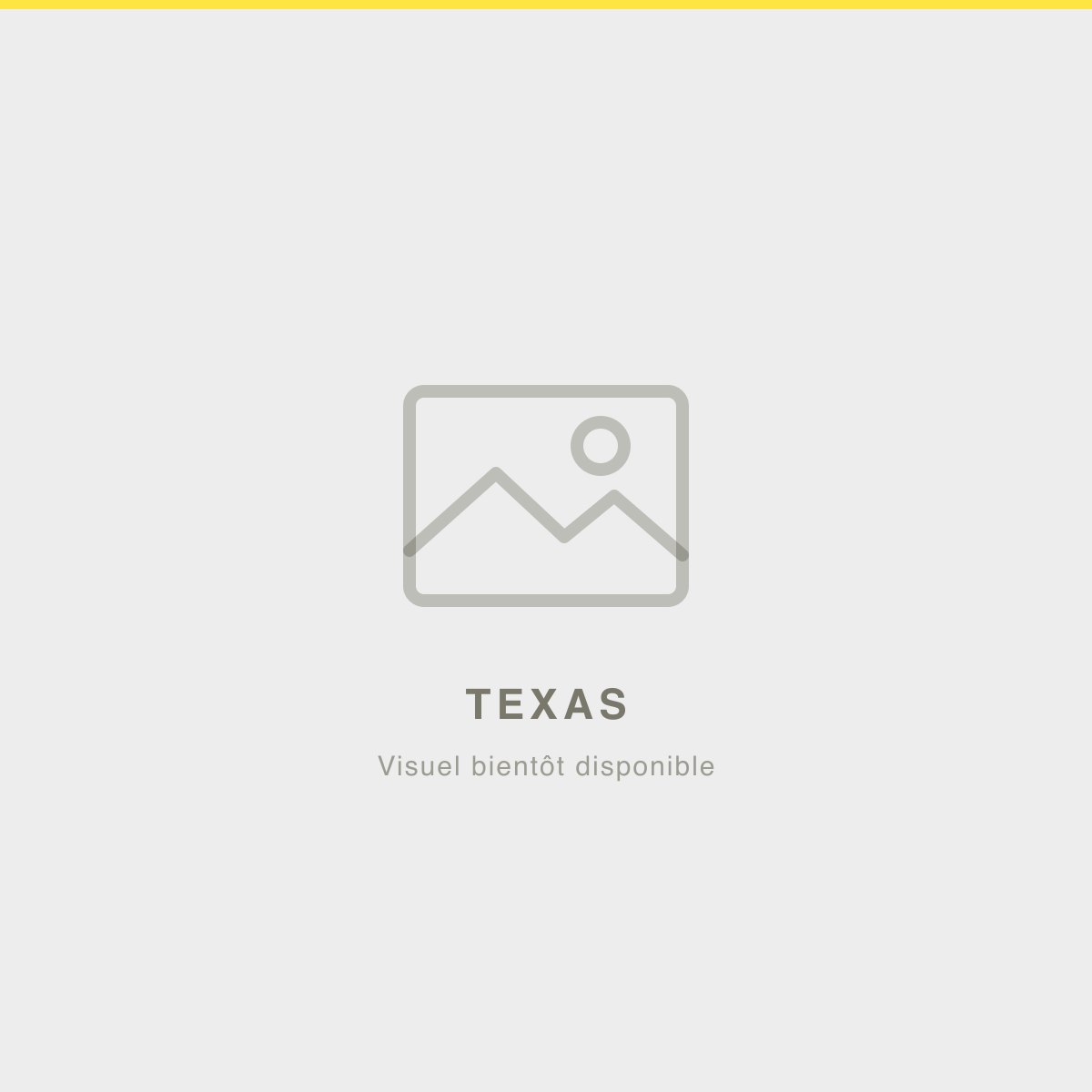 Connecteurs câble — pack de 10 — Texas